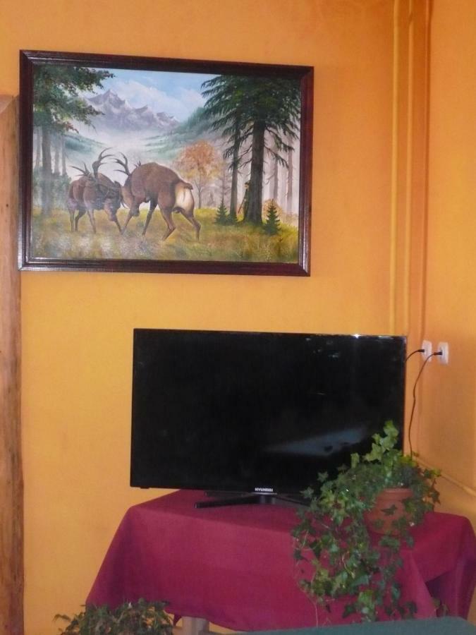 Pokoje Goscinne W Gorach Kościelisko Esterno foto