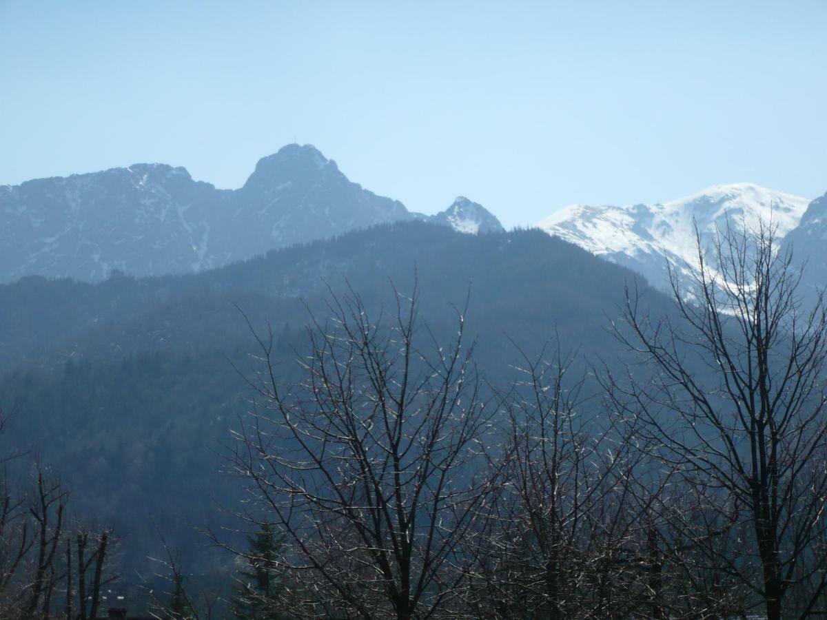 Pokoje Goscinne W Gorach Kościelisko Esterno foto
