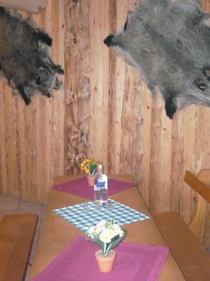 Pokoje Goscinne W Gorach Kościelisko Esterno foto